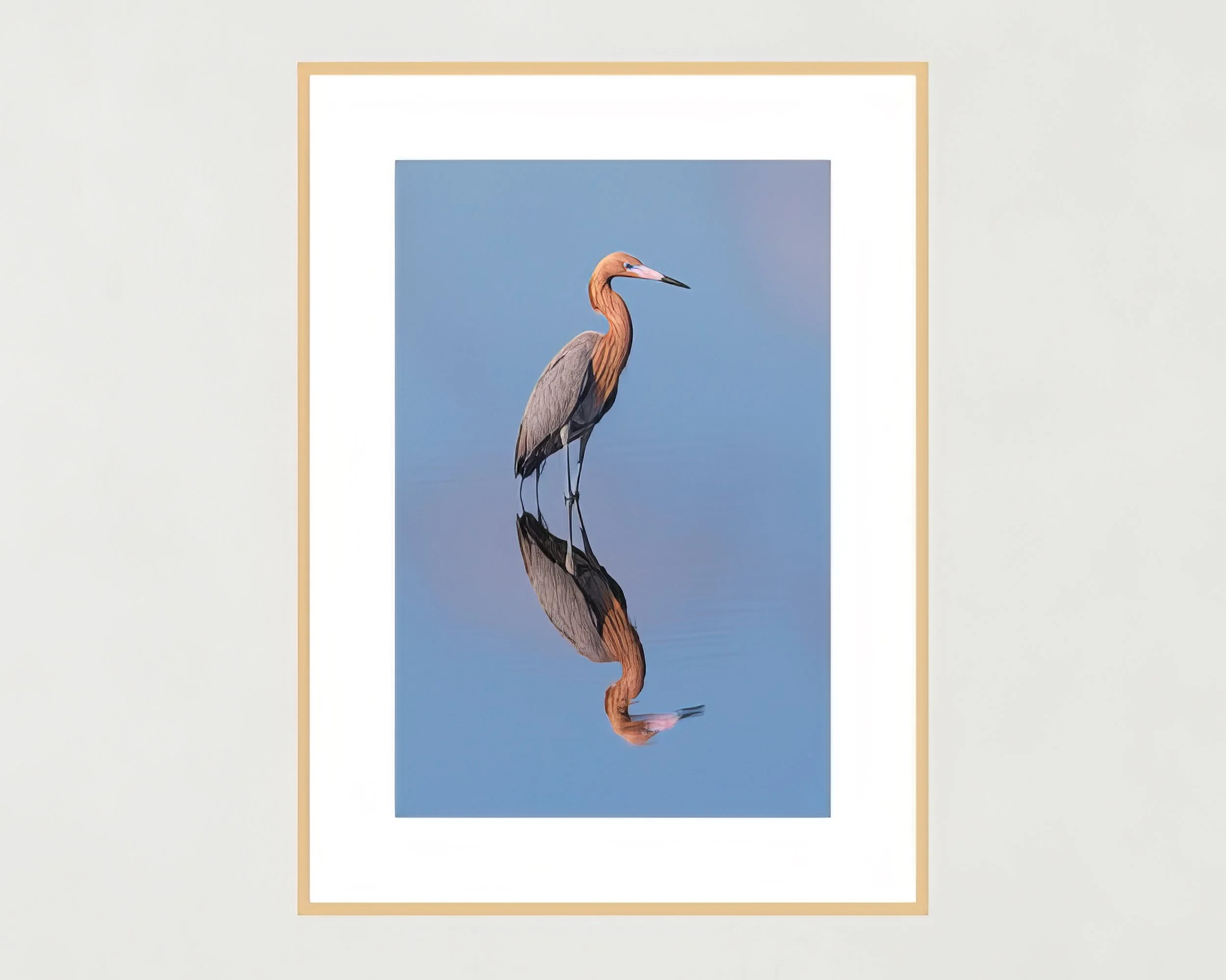 t-egret Egret at Rest painting by Larry Zach – Larry Zach Wildlife Art